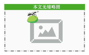 The Weather in My City