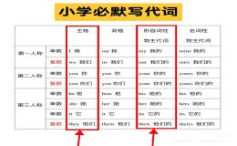 小学生必背（必默）代词