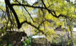 我的家乡 My Hometown