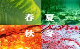 我最喜欢的季节